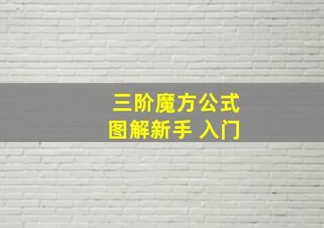 三阶魔方公式图解新手 入门